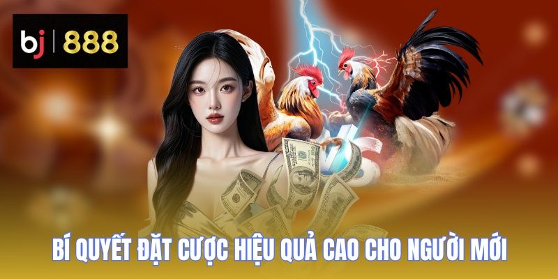 da ga cua dao bi quyet cuoc 2