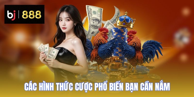 da ga cua dao hinh thuc cuoc 3
