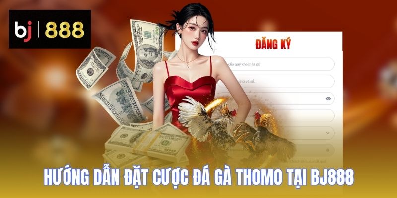 da ga thomo huong dan dat cuoc