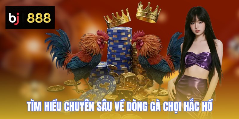 Tìm hiểu chuyên sâu về dòng gà chọi Hắc Hổ