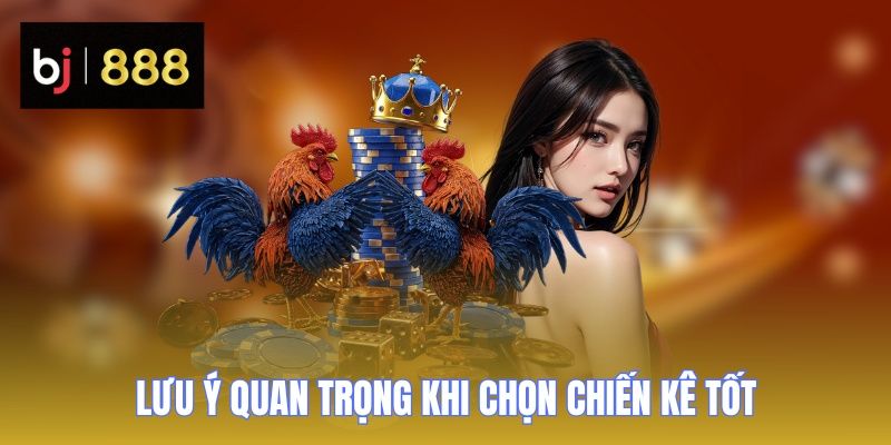 xem tuong ga choi luu y