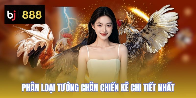 xem tuong ga choi phan loai