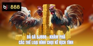 da ga bj888 thumb