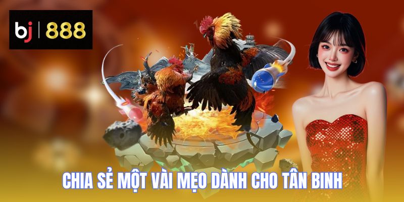 da ga c1 chia se meo