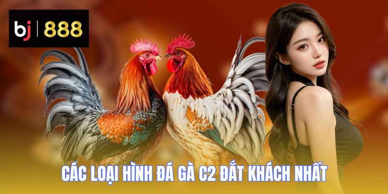 da ga c2 cac loai hinh