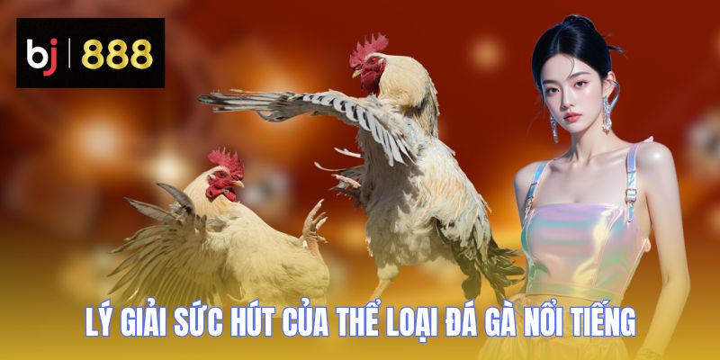 da ga c2 ly giai suc hut