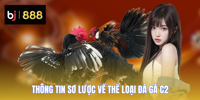 da ga c2 thong tin