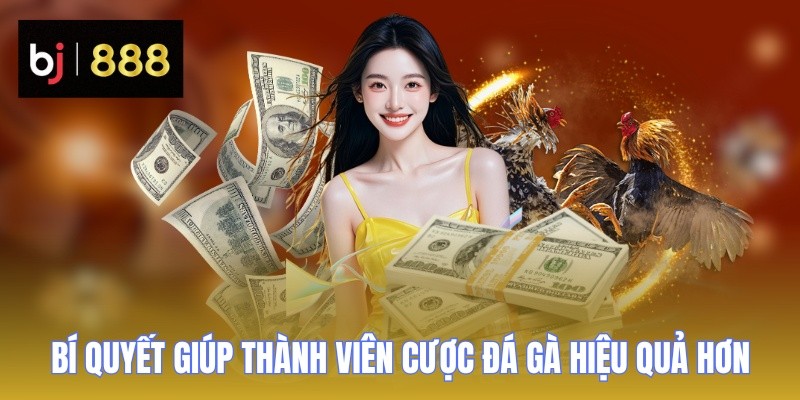 da ga c3 bi quyet