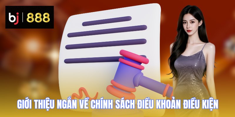 Giới thiệu ngắn về chính sách điều khoản điều kiện