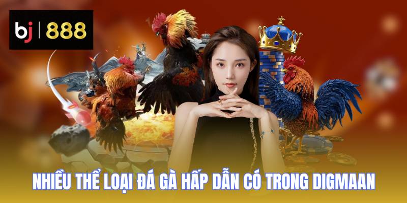 sanh digmaan nhieu the loai