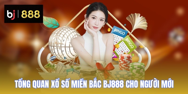xo so mien bac tong quan cho nguoi moi